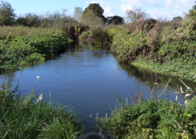 River Blackwater – Swallowfield