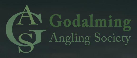 Godalming ticket exchange