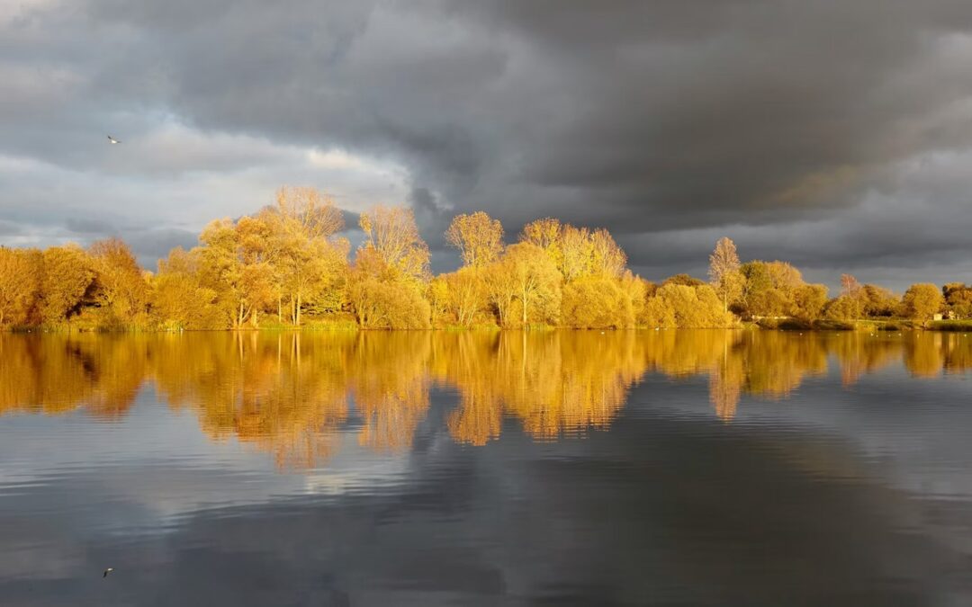 Causeway Lake