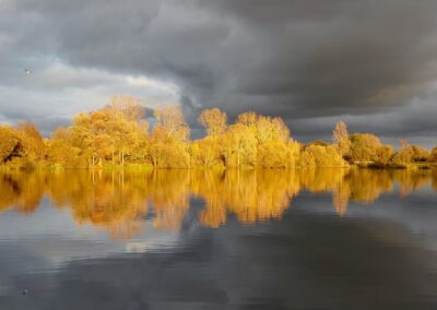 Causeway Lake