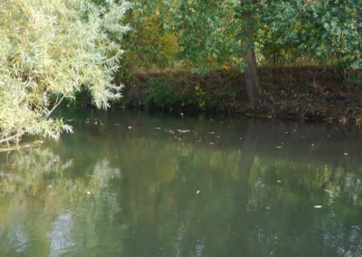 River Loddon – Charvil