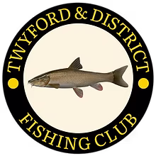 Logo2