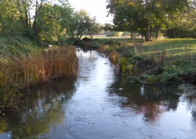 River Loddon – Whistley Mill