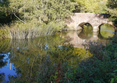 River Loddon – Sandford