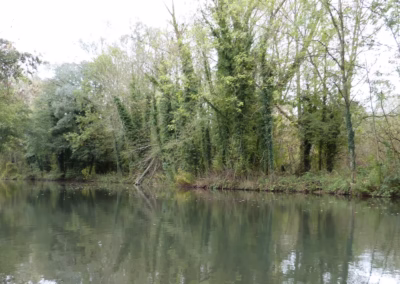 River Kennet – Woolhampton