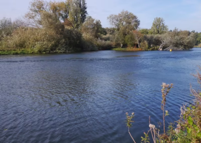 River Thames – Charvil