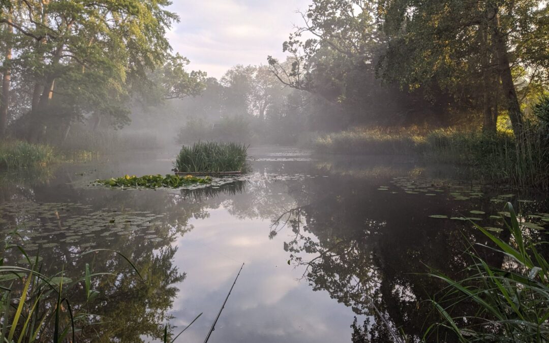 Swallowfield Decoy Pond – Ticket Exchange