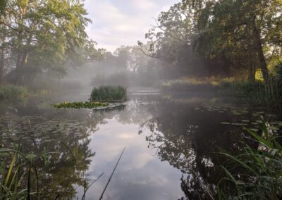 Swallowfield Fishing Club – Decoy Pond Ticket Exchange