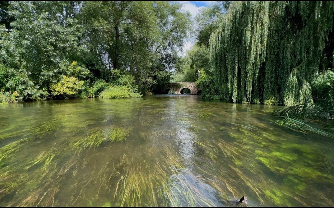 St. Patrick’s Stream – Charvil