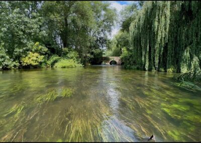 St. Patrick’s Stream – Charvil