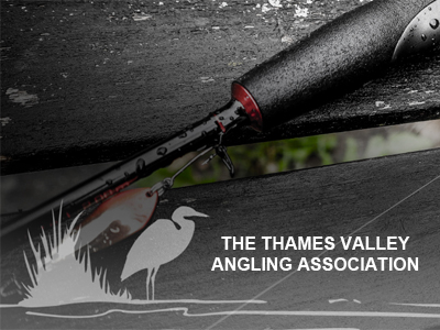 The Thames Valley Angling Association