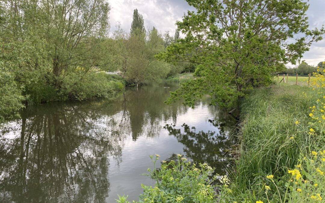 River Loddon – Charvil